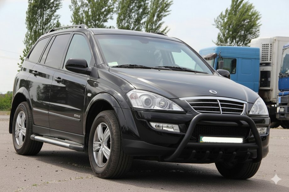 SsangYong Action 2005–2018 Frontbåge WT003 Black (rostfritt) Image