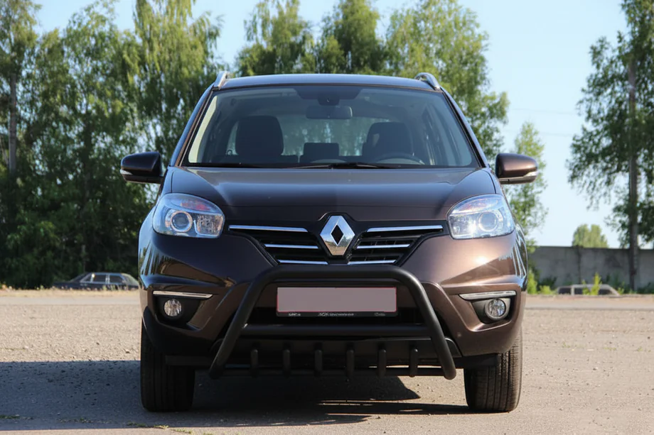 Renault Koleos 2008–2016 Frontbåge WT003 Black (rostfritt stål) Foto 8