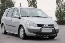 Renault Scenic/Grand 2003–2009 Frontbåge WT004 Black (rostfritt stål) foto 2