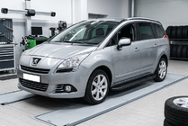 Peugeot 5008 2009–2016 Sidosteg Bosphorus Black (2 st, aluminium) foto 1