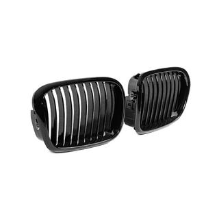 1-Bar njurgrill (2000-2003, svart högglans) BMW 5-serie E39 1996–2003 foto 4