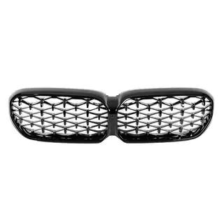 Njurgrillar Diamond Black (2021-2023) foto 3