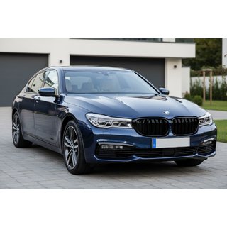 M-Look njurgrill (2016-2019, blanksvart) BMW 7-serien G11/G12 2015–2022 foto 1