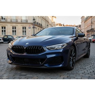 Njurgrillar 1-Bar (2018-2022, svart högglans) BMW 8-serie G14/G15/G16 2018– foto 1