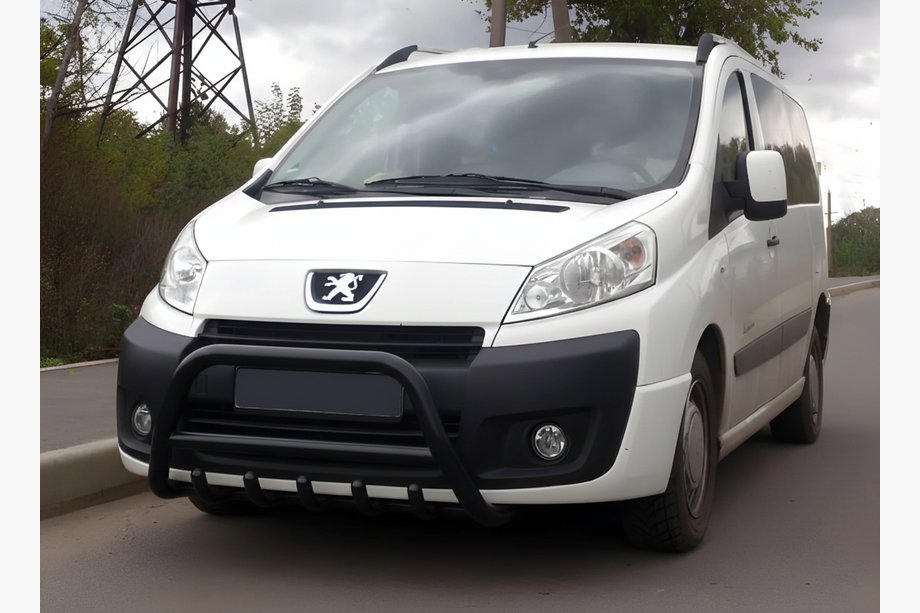 Citroen Jumpy 2007–2017 Frontbåge WT003 Black (rostfritt) Image