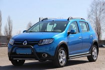 Renault Sandero 2013–2022 Frontbåge WT006 Black (rostfritt stål) foto 6