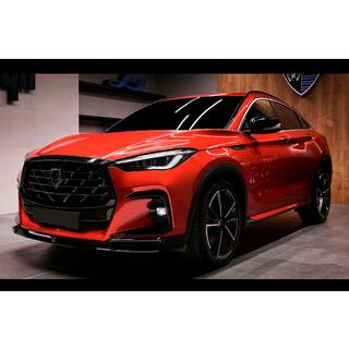 LRT-Design bodykit-kit (för 2021-2024) foto 2