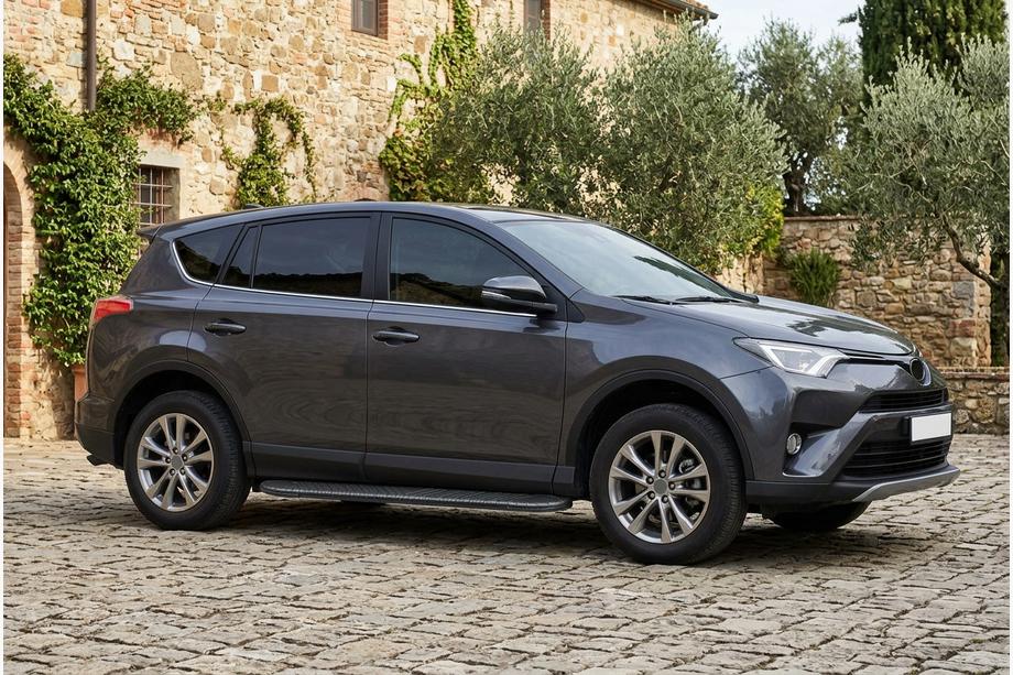 Toyota Rav 4 2013–2018 Sidosteg Bosphorus Black (2 st, aluminium) Image