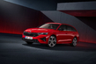 Skoda Octavia Combi RS: Test av den sportiga kombibilen foto 2