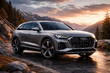 Audi Q9: en bil från framtiden foto 1