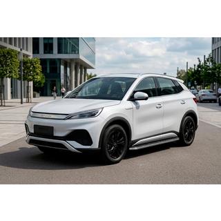 Sidosteg Maydos V1 (2 st, aluminium ↗ rostfritt stål) BYD Atto 3 2021– foto 1