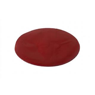 Främre emblem utan glas V4 (15,7 cm × 11 cm) foto 2