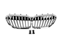 BMW 7-serien G11/G12 2015–2022 Njurgaller 1 Bar (2019-2022, Chrome) foto 2