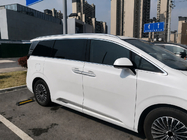 Denza D9 2022– Integrerade takräcken grå OEM (aluminium, montering med lim) foto 1