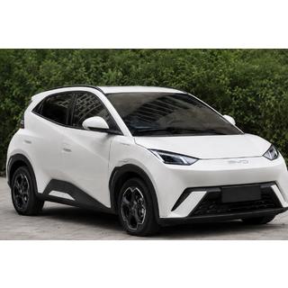 OEM takrails svarta (ABS-plast, montering med lim) BYD Dolphin 2025–