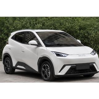 OEM takrails grå (ABS-plast, montering med lim) BYD Dolphin 2025–