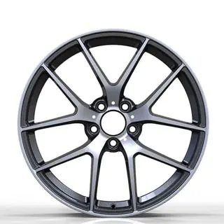 Smidda fälgar DH-Style V20 R16