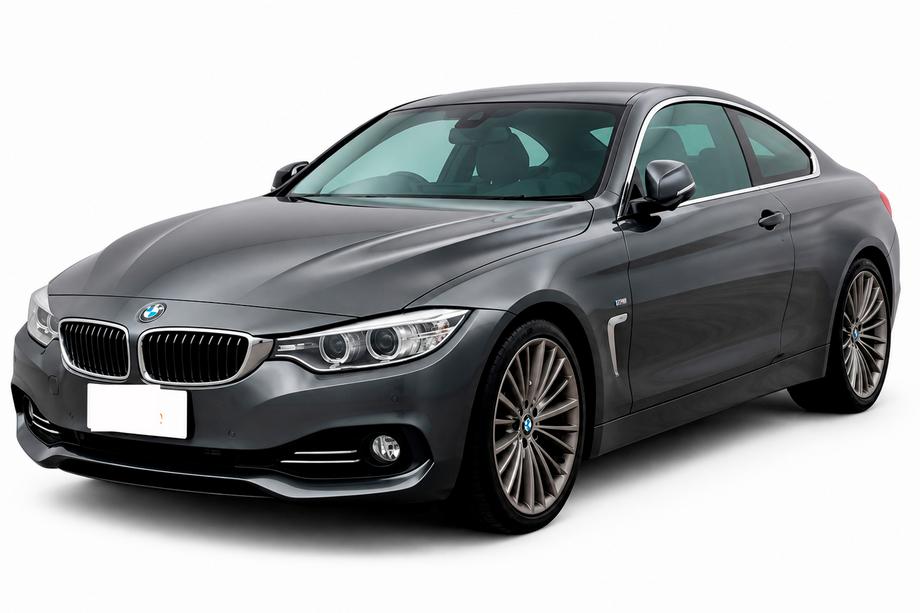 BMW 4-serie F32/F33/F36 2012–2020 Frontläpp DPT (för Base, blanksvart) Image