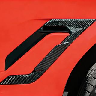 Skärmkåpor F96 (Carbon) BMW X6 G06 2019–2027 foto 1
