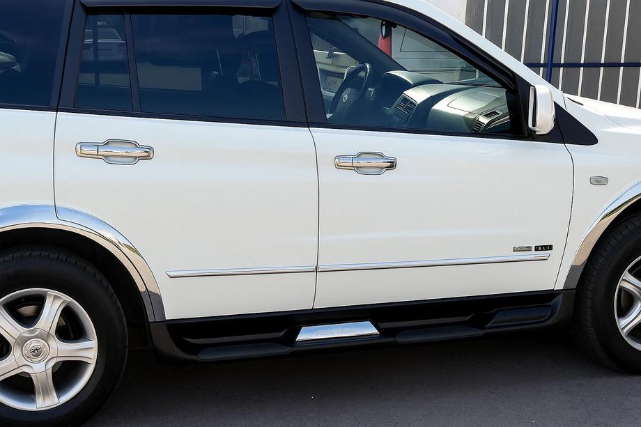 SsangYong Kyron 2005–2014 Ramar runt dörrhandtagen (4 st, plast) Image