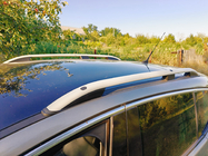 Peugeot 3008 2008–2016 Takrails Skyport Grey foto 14
