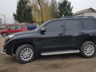 Toyota Land Cruiser Prado 150 2009–2023 Tröskelskydd BB004 (2 st, rostfritt) foto 7
