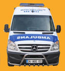 Mercedes Sprinter W906 2006–2018 Frontbåge WT003-Plus (rostfritt stål) foto 7