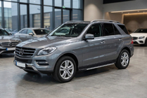 Mercedes GLE/ML class W166 2011–2018 Sidosteg Maya V1 (2 st, aluminium) foto 1
