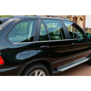 Nedre dörrlister i rostfritt stål (6 st) BMW X5 E53 1999–2006 foto 1