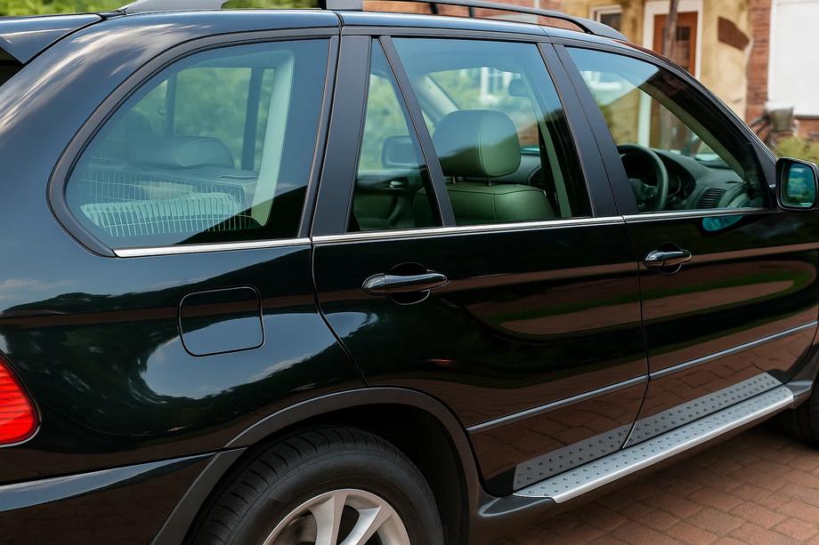 BMW X5 E53 1999–2006 Nedre dörrlister i rostfritt stål (6 st) Image