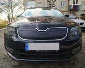 Skoda Octavia III A7 2013–2019 Vintertäckning för grillen (2013-2017) foto 1