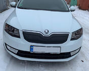 Skoda Octavia III A7 2013–2019 Vintertäckning för grillen (2013-2017) foto 2