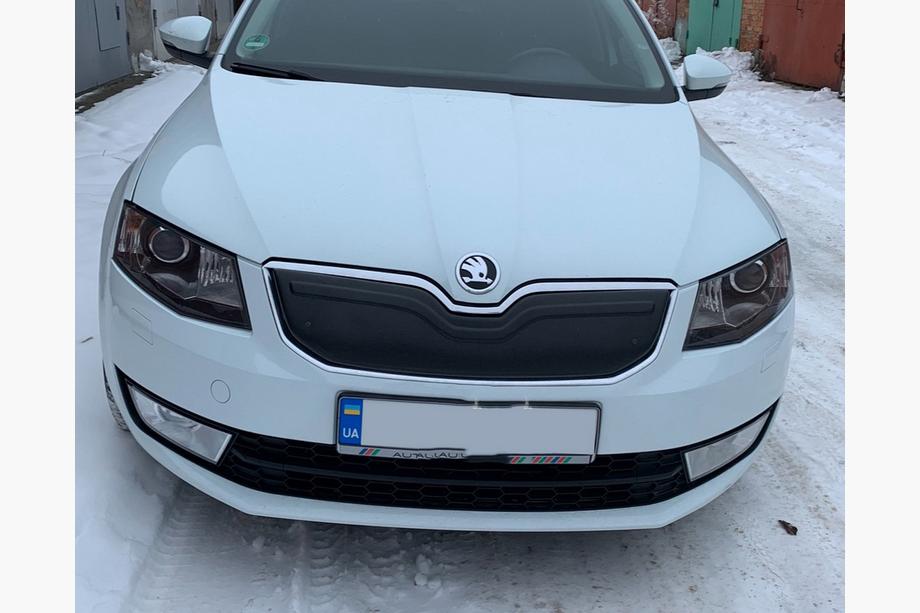 Skoda Octavia III A7 2013–2019 Vintertäckning för grillen (2013-2017) matt Foto 2