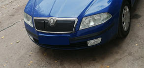 Skoda Octavia II A5 2006–2010 Vintertäckning för kylargrill (övre) Matt foto 3
