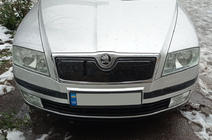 Skoda Octavia II A5 2006–2010 Vintertäckning för kylargrill (övre) Matt foto 1