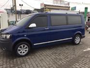 Volkswagen T5 2010–2015 Dörrlister (rostfritt stål, krom) foto 3