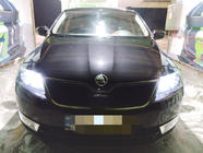 Skoda Rapid 2012–2019 Vintergrill (övre) Blank foto 1