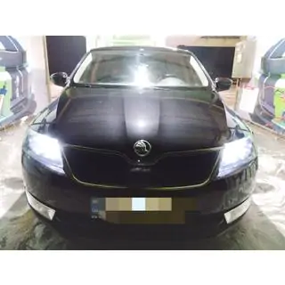 Vintergrill (övre) Skoda Rapid 2012–2019 foto 1