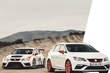 Seat ska bygga "trimmade" elbilar foto 1