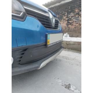 Vinter nedre grilltäckning (2013-2015) foto 4