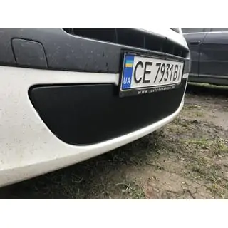 Vintertäcke nedre grill (2008-2013) Renault Kangoo 2008–2020 foto 2
