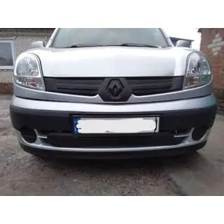Övre vintergaller (2003-2008) Renault Kangoo 1998–2008 foto 2