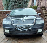Skoda Octavia II A5 2006–2010 Vintertäckning för grillen (nedre) Blank foto 1