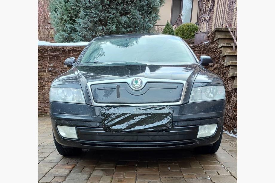 Skoda Octavia II A5 2006–2010 Vintertäckning för grillen (nedre) Blank Image