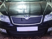 Skoda Octavia II A5 2010–2013 Vintertäckning för kylargrill (övre) Matt foto 3