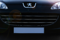 Peugeot 407 2004–2011 Grillister (3 st, rostfritt stål) foto 1