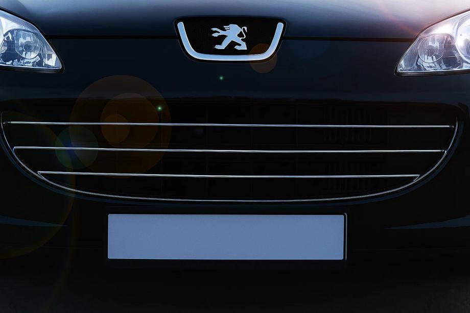 Peugeot 407 2004–2011 Grillister (3 st, rostfritt stål) Image