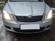 Skoda Octavia II A5 2010–2013 Vintertäckning för grillen (nedre) foto 2