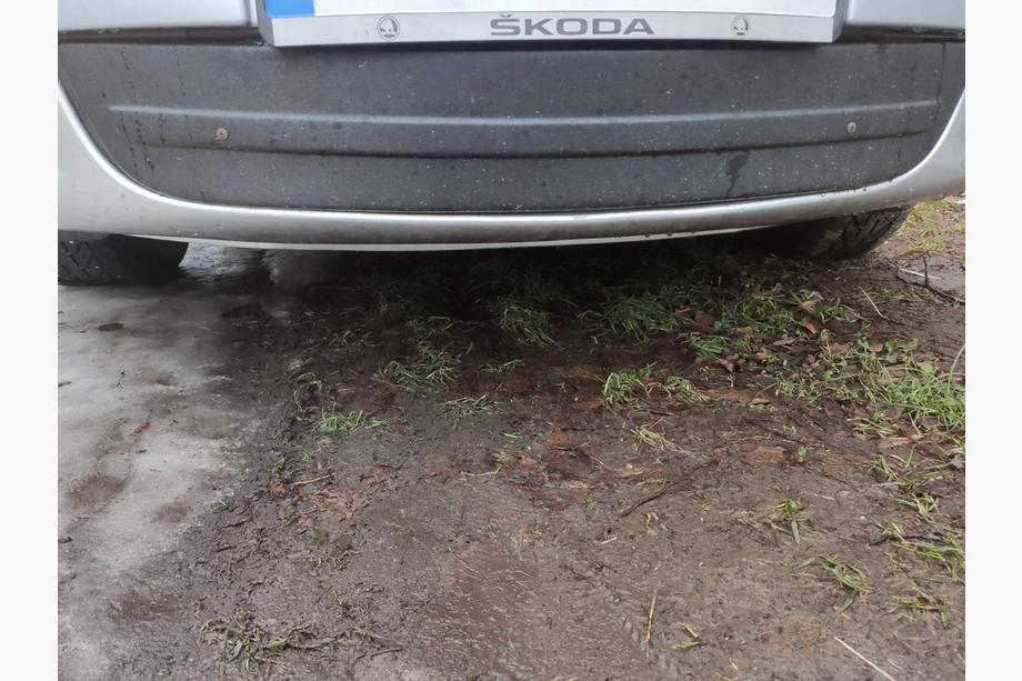 Skoda Octavia II A5 2010–2013 Vintertäckning för grillen (nedre) Image