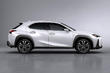 Test av nya kompakta crossovern Lexus UX 200 foto 4